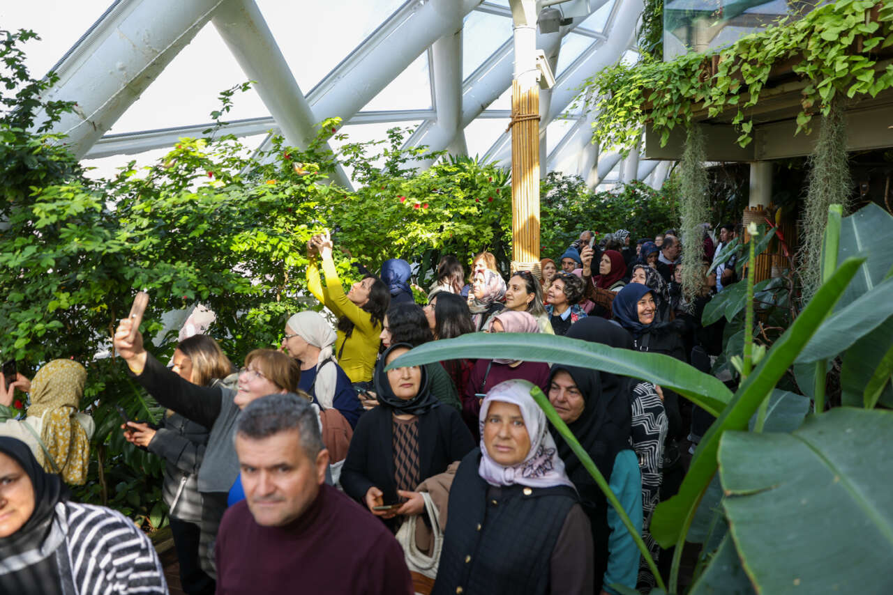 Konya’nın kelebek cenneti ziyaretçi rekoru kırdı 2
